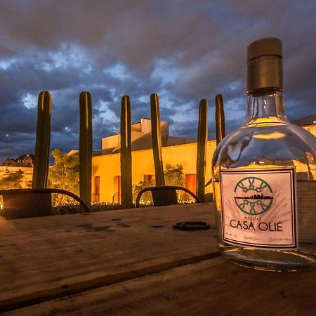 Casa Olie Hotel Oaxaca Kültér fotó